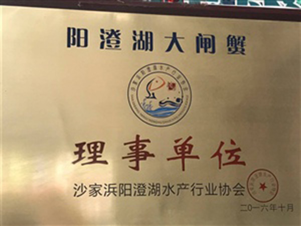 荣誉资质