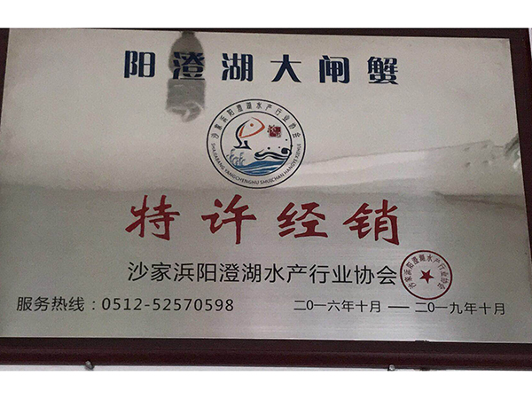 荣誉资质
