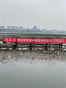 养殖环境