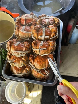 大闸蟹